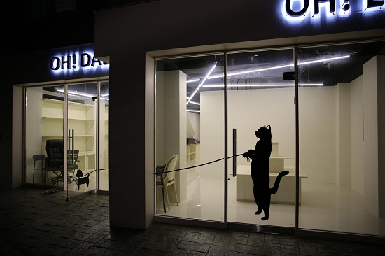 신촌 애견용품 샵 'OH! DALI', 애견미용 및 다양한 서비스로 눈길