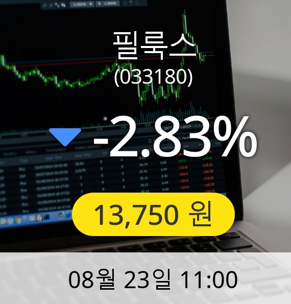 [필룩스주가] 23일 오전 11시 00분 13,750원