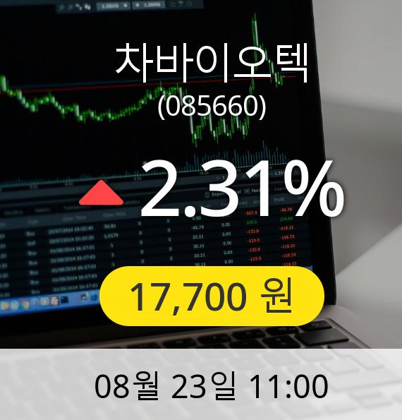 [차바이오텍주가] 23일 오전 11시 00분 17,700원