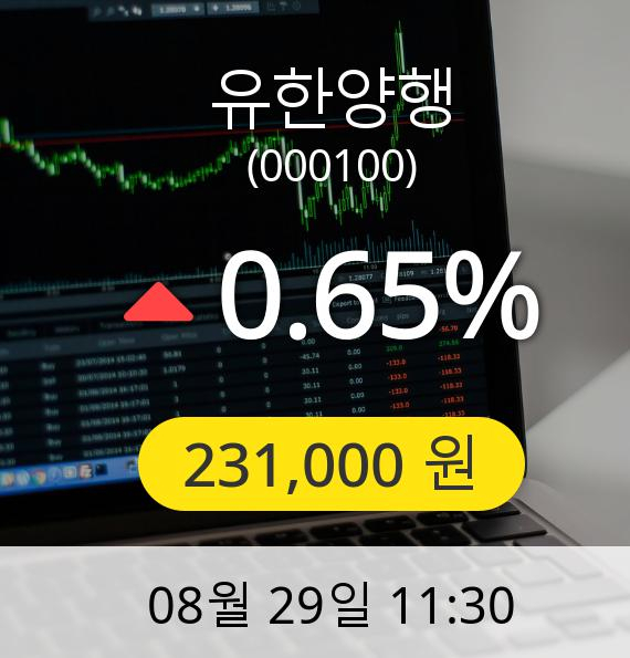 [유한양행주가] 29일 오전 11시 30분 231,000원