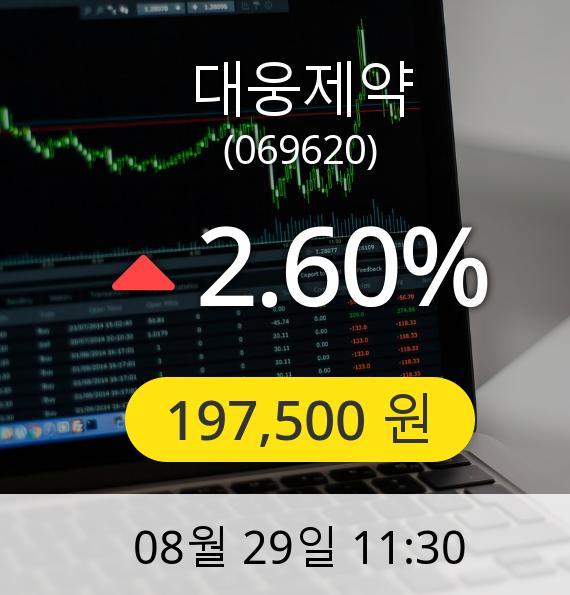 [대웅제약주가] 29일 오전 11시 30분 197,500원