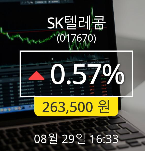 [마감시황]SK텔레콤장종주가 29일 오후 4시 33분 263,500원