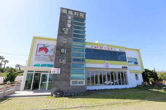 제주 서귀포시 중문관광단지 근처 논짓물 앞에 있는 해물라면 맛집 '바다라면'
