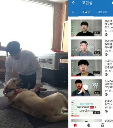 강아지 방문훈련을 통한 반려견 문제 행동 교육