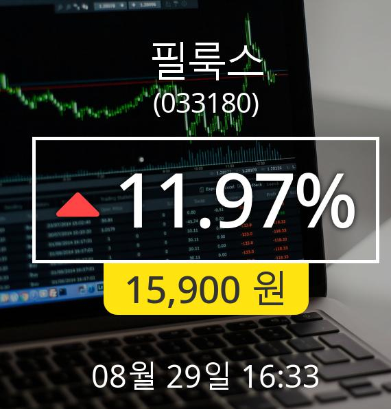 [마감시황]필룩스장종주가 29일 오후 4시 33분 15,900원