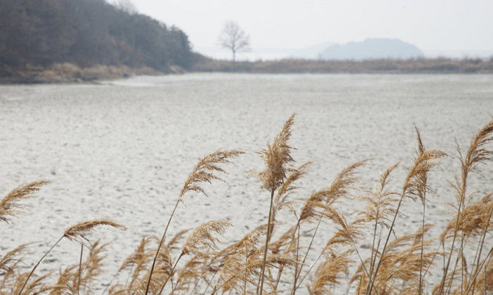 [국내당일치기여행] 아직도 차이나타운? 서울근교 '인천 가볼만한곳' 추천, 바다부터 가을꽃 포토스팟까지!