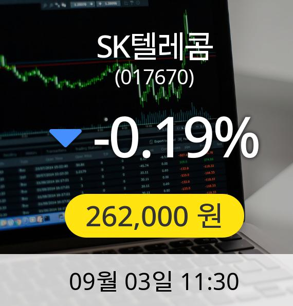 [SK텔레콤주가] 3일 오전 11시 30분 262,000원