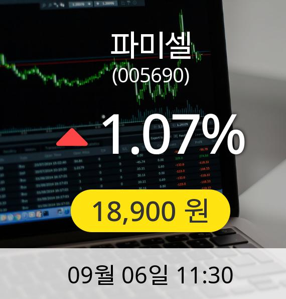 [파미셀주가] 6일 오전 11시 30분 18,900원