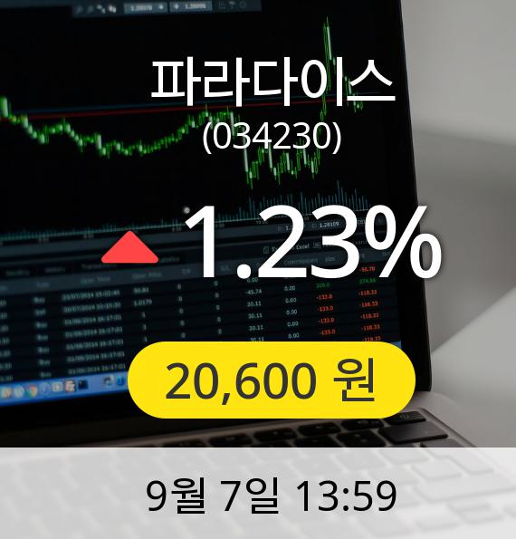 [파라다이스주가] 7일 오후 1시 59분 20,600원