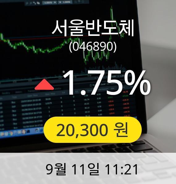 [서울반도체주가] 11일 오전 11시 21분 20,300원