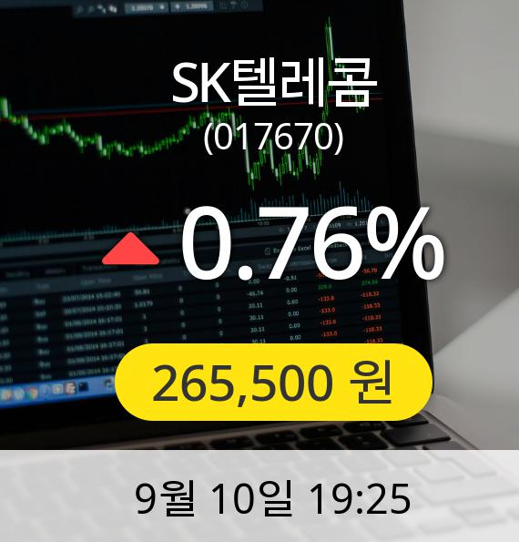 [마감시황]SK텔레콤장종주가 10일 오후 7시 25분 265,500원