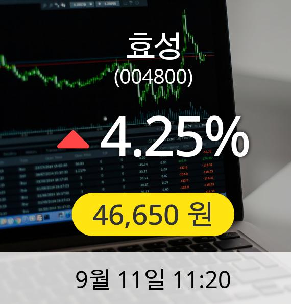 [효성주가] 11일 오전 11시 20분 46,650원