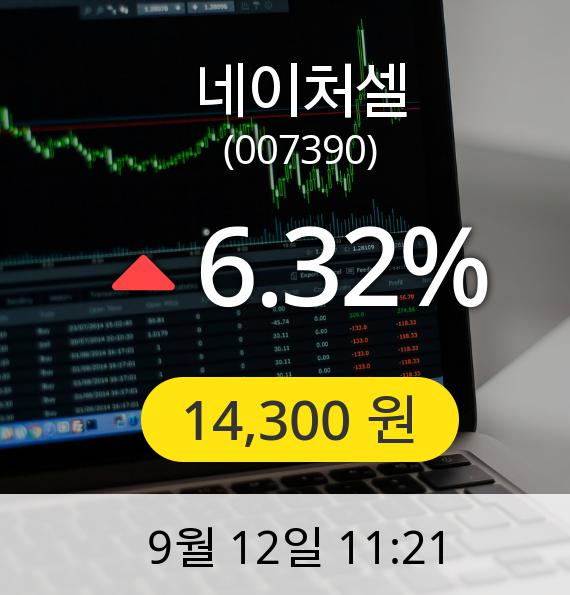 [네이처셀주가] 12일 오전 11시 21분 14,300원