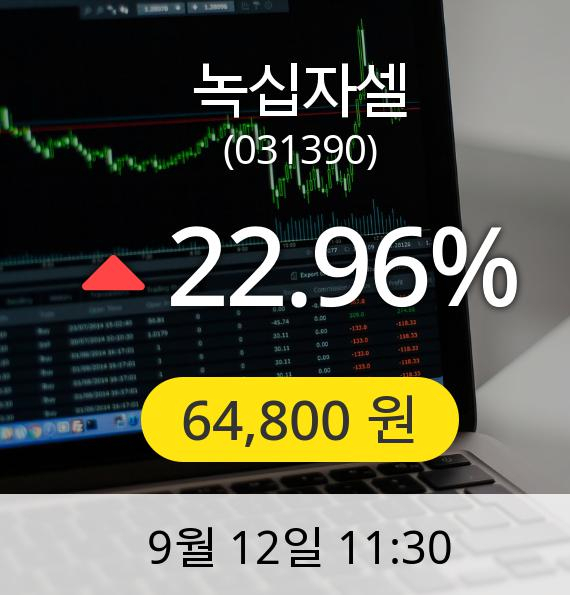 [녹십자셀주가] 12일 오전 11시 30분 64,800원