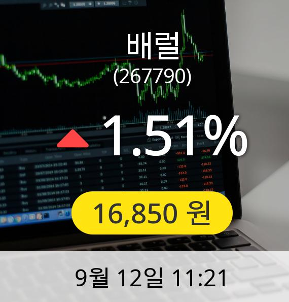 [배럴주가] 12일 오전 11시 21분 16,850원