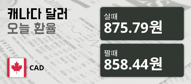 [환전환율] 13일 캐나다 달러화 환율 살때 875.79원, 팔때 858.44원 ▲0.42%상승