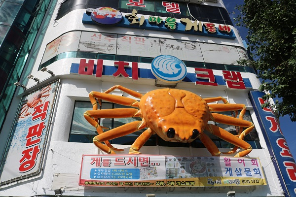 바닷가를 거닐고 난 후 주린배를 채우기에 적격 속초맛집 '비치대게직판장, 비치크랩'