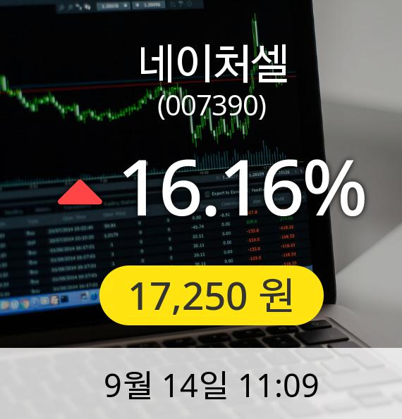 [네이처셀주가] 14일 오전 11시 09분 17,250원