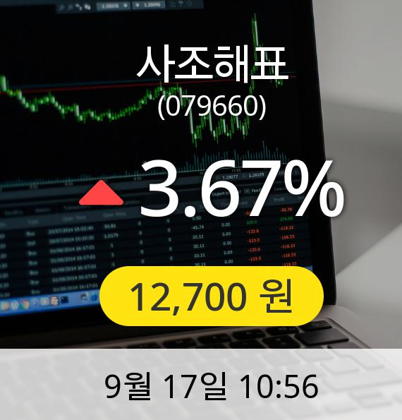 [사조해표주가] 17일 오전 10시 56분 12,700원