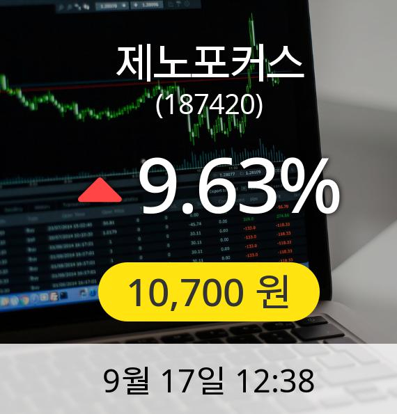 [제노포커스주가] 17일 오후 12시 38분 10,700원