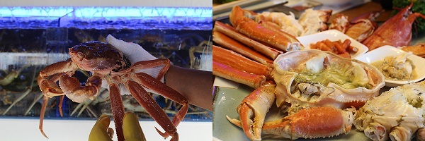 안산맛집 '대게나라' 안산점, "한가위에 건강식으로 가족 사랑 키우세요"