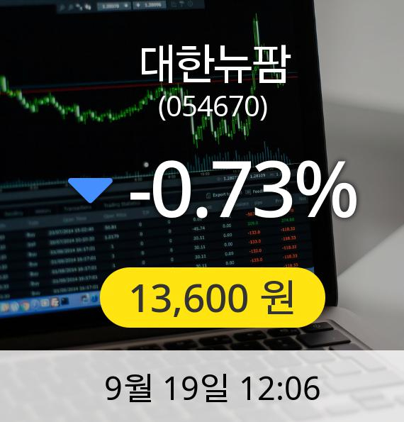 [대한뉴팜주가] 19일 오후 12시 06분 13,600원