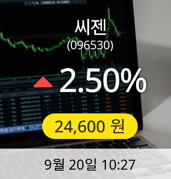 [씨젠주가] 20일 오전 10시 27분 24,600원