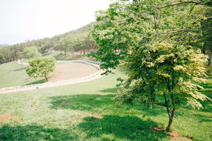 [추석에 가볼 만한 곳⑧] 추석 연휴 국내 여행 '경남 가볼 만한 곳' BEST…부산, 밀양, 창원, 마산 식도락 여행 