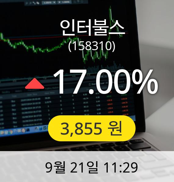 [인터불스주가] 21일 오전 11시 29분 3,855원