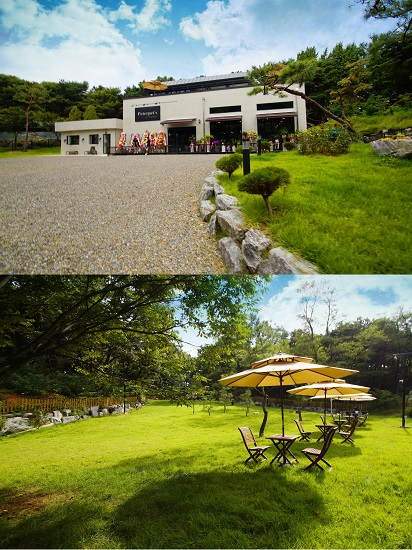 일산애견카페 최대규모 '피터팻츠' 반려견이 즐거워하니 견주도 행복해!