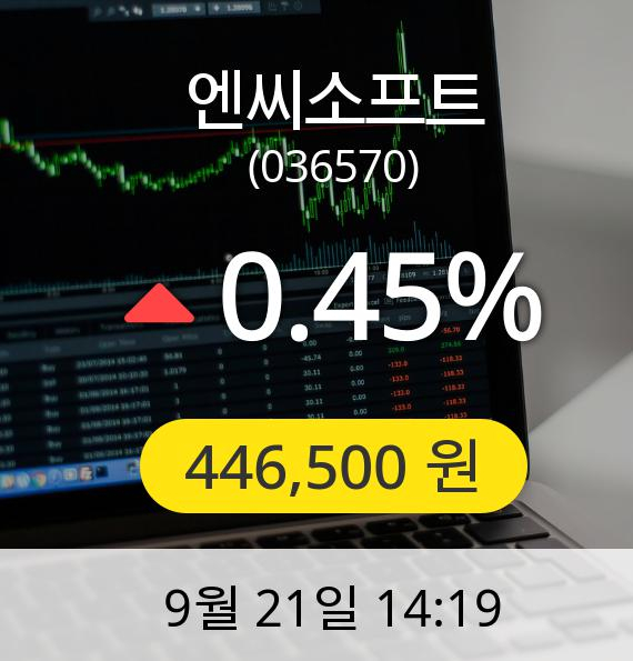 [엔씨소프트주가] 21일 오후 2시 19분 446,500원