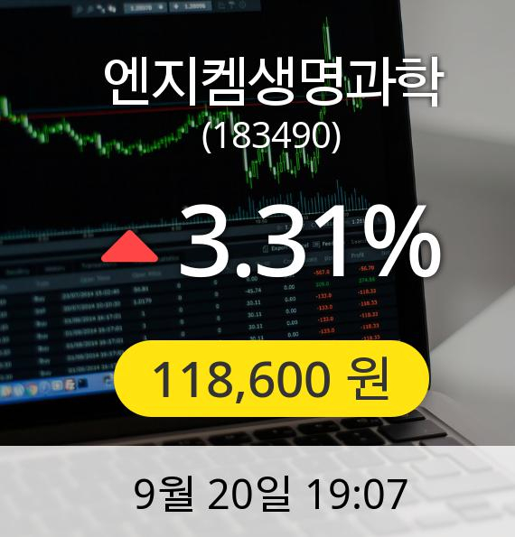 엔지켐생명과학장종주가 118,600원