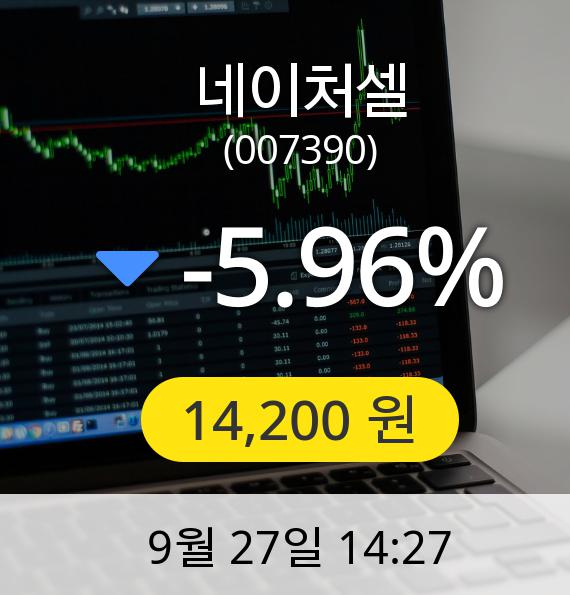 [네이처셀주가] 27일 오후 2시 27분 14,200원