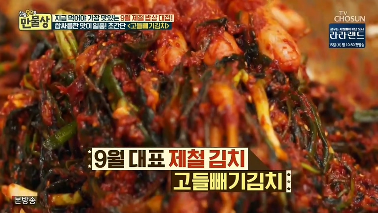 [저녁메뉴추천] 가을 김치를 더욱 맛있게, '만물상' 고들빼기 김치 만드는 법은?