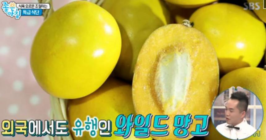 [다이어트음식] '만물상' 12시간다이어트의 비법은? 와일드망고의 효능을 알아보자