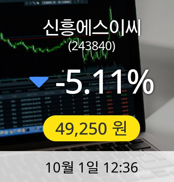 [신흥에스이씨주가] 1일 오후 12시 36분 49,250원