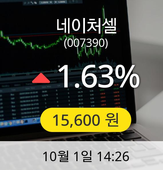 [네이처셀주가] 1일 오후 2시 26분 15,600원