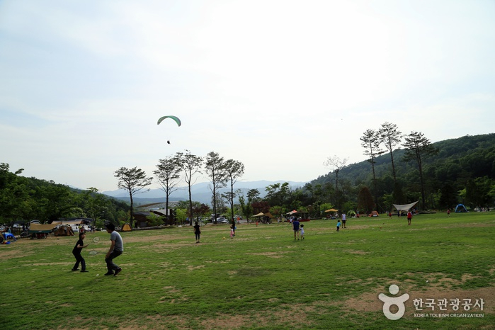 개천절 연휴 서울 인근 용인자연휴양림·유명산자연휴양림에서 힐링! "국립자연휴양림 카카오톡 예약 가능?" 