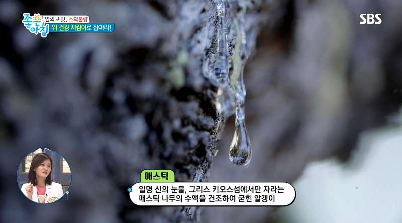 위 건강에 탁월한 '매스틱 효능', 매스틱검+매스틱오일 먹는법부터 부작용까지 확인