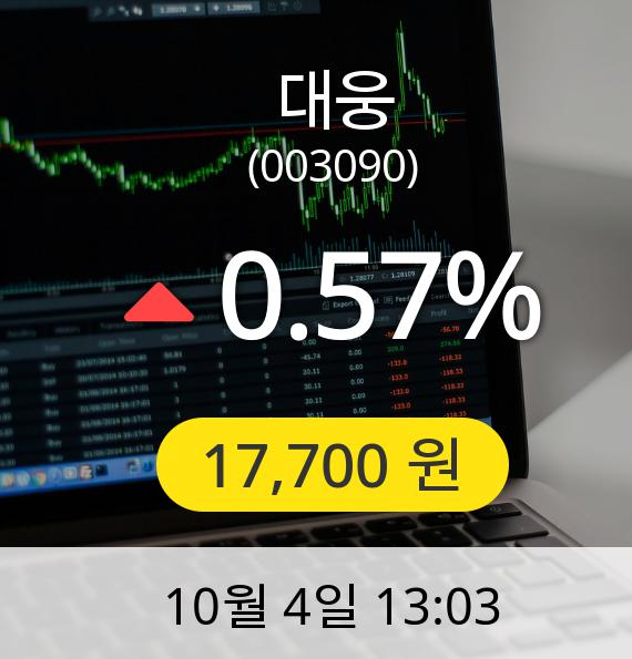 [대웅주가] 4일 오후 1시 03분 17,700원