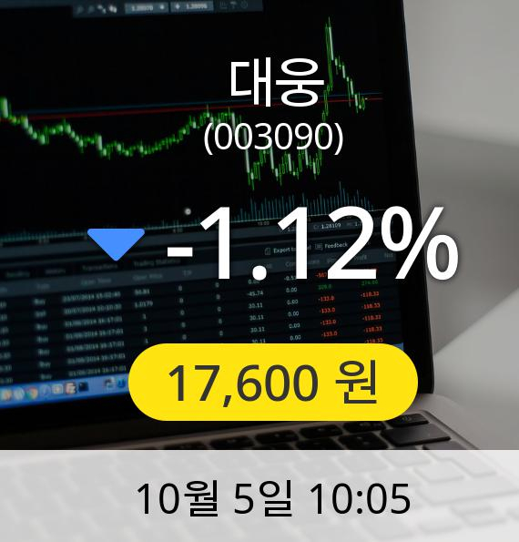 [대웅주가] 5일 오전 10시 05분 17,600원