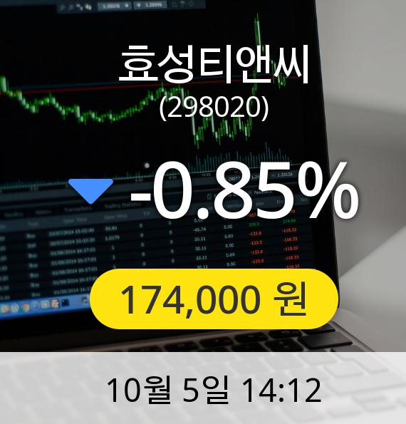 [효성티앤씨주가] 5일 오후 2시 12분 174,000원