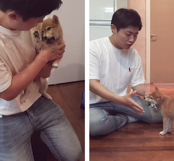 직접 강아지 방문훈련을 다니는 애견 행동교정 전문가 고민성 훈련사