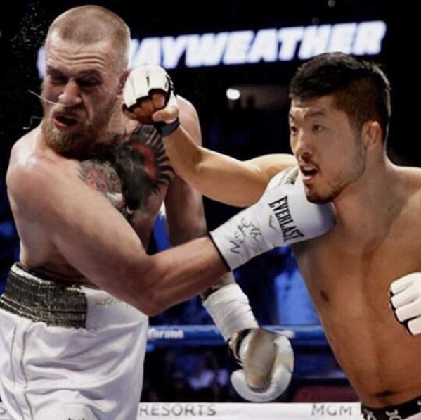 [UFC 299] 끝내 난투극 벌인 맥그리거·하빕 중계, 하이라이트로 권아솔도 화제! 재대결 이뤄지나