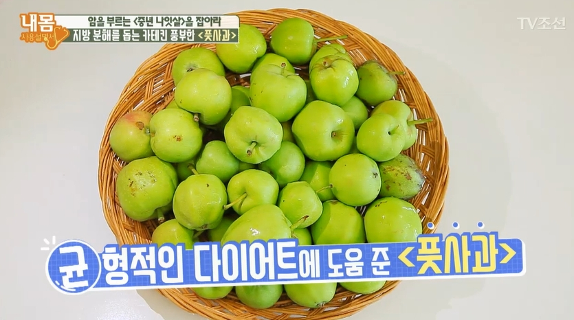 [연예인다이어트식단] 신지 다이어트의 비법은? 풋사과 다이어트 및 부작용을 알아보자