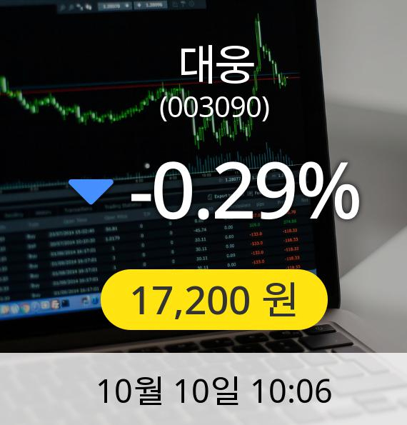 [대웅주가] 10일 오전 10시 06분 17,200원