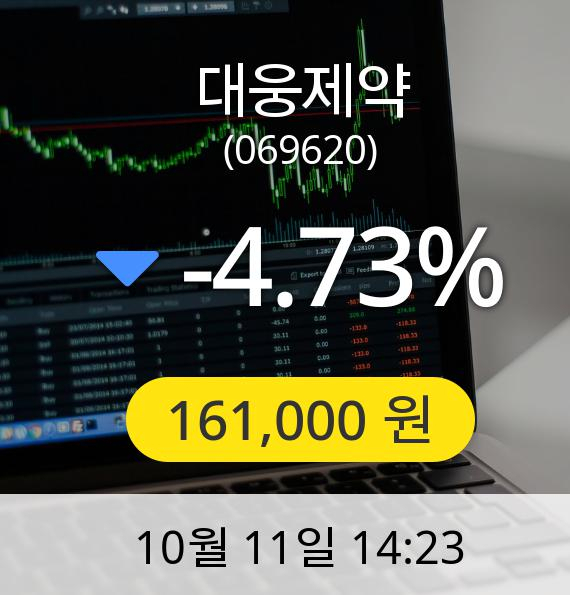 [대웅제약주가] 11일 오후 2시 23분 161,000원