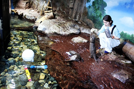SEA LIFE 부산아쿠아리움, 세계 동물의 날 맞이 기념행사 진행