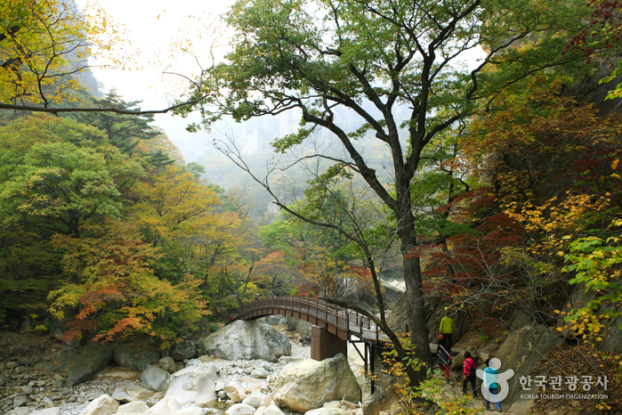 설악산 가을 단풍 여행 절정 시기는?…'설악산에 첫 얼음'으로 본 주말 날씨 강원도 여행에 참고! 