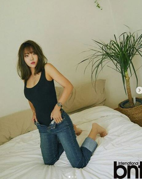 [연예인다이어트식단] 단기간 레몬밤 다이어트로 일주일 다이어트에 성공? '레몬밤' 효능과 부작용, 먹는 법